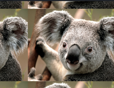 MotoCMS 3 Pages Background Image Repeat feature 