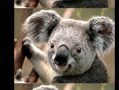 MotoCMS 3 Pages Background Image Repeat Y feature 