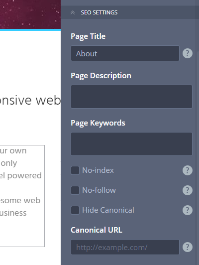 MotoCMS 3 Pages SEO Settings
